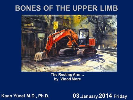 The Resting Arm… by Vinod More The Resting Arm… by Vinod More Kaan Yücel M.D., Ph.D. 03. January. 2014 Friday.