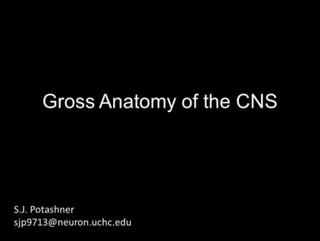 Gross Anatomy of the CNS