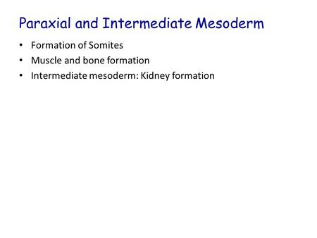 Paraxial and Intermediate Mesoderm Formation of Somites Muscle and bone formation Intermediate mesoderm: Kidney formation.