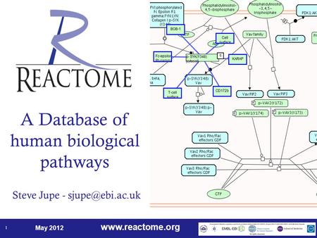 May 2012 1 A Database of human biological pathways Steve Jupe -
