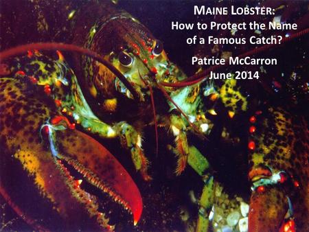 M AINE L OBSTER : How to Protect the Name of a Famous Catch? Patrice McCarron June 2014.