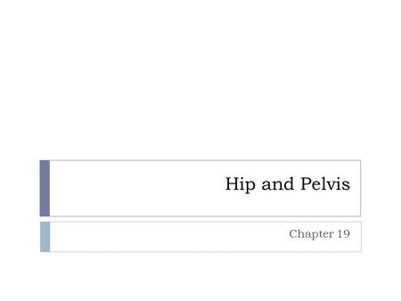 Hip and Pelvis Chapter 19. Hip & Pelvis  Strongest articulation in body  Most stable articulation  Well protected & surrounded by muscle on all sides.