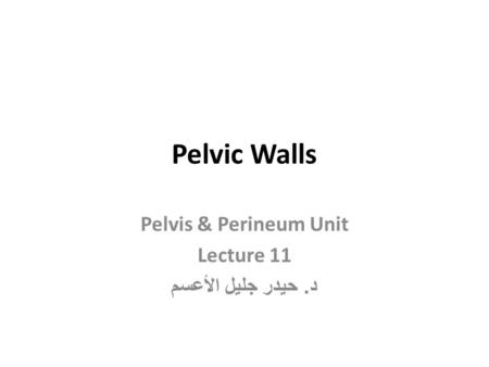 Pelvis & Perineum Unit Lecture 11 د. حيدر جليل الأعسم
