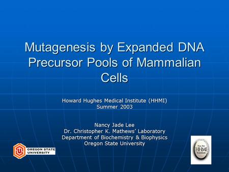 Mutagenesis by Expanded DNA Precursor Pools of Mammalian Cells