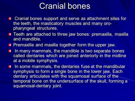 Cranial bones Cranial bones support and serve as attachment sites for the teeth, the masticatory muscles and many oro- pharyngeal structures. Cranial bones.