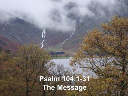Psalm 104:1-31 The Message.