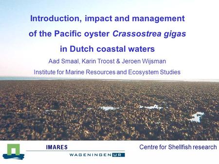 Centre for Shellfish research Introduction, impact and management of the Pacific oyster Crassostrea gigas in Dutch coastal waters Aad Smaal, Karin Troost.