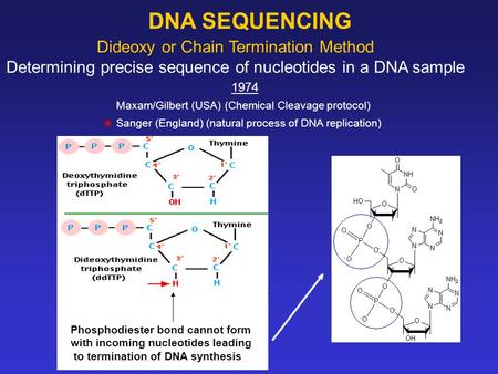 Dideoxy or Chain Termination Method Determining precise sequence of nucleotides in a DNA sample DNA SEQUENCING 1974 Maxam/Gilbert (USA) (Chemical Cleavage.