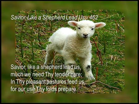 Savior, like a shepherd lead us,Savior, like a shepherd lead us, much we need Thy tender care; In Thy pleasant pastures feed us, for our use Thy folds.