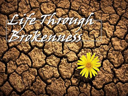 Life Through Brokenness. Psalm 51:17 (NIV) - The sacrifices of God are a broken spirit; a broken and contrite heart, O God, you will not despise.