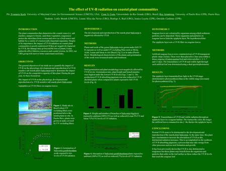 The effect of UV-B radiation on coastal plant communities PIs: Evamaria Koch, University of Maryland Center for Environmental Science (UMCES), USA; Cesar.