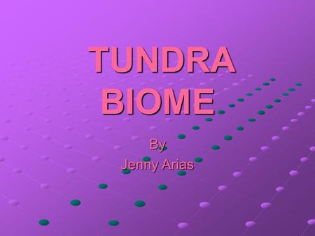 TUNDRA BIOME By Jenny Arias.