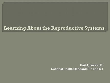 Learning About the Reproductive Systems