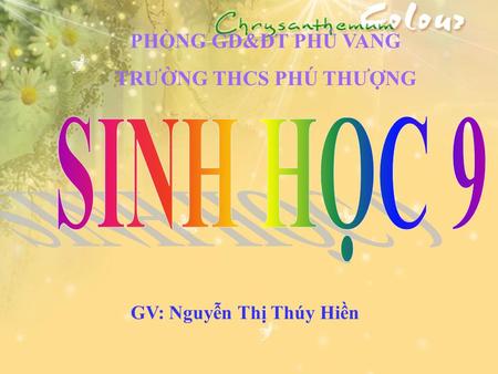 GV: Nguyễn Thị Thúy Hiền PHÒNG GD&ĐT PHÚ VANG TRƯỜNG THCS PHÚ THƯỢNG.