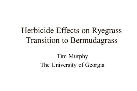 Herbicide Effects on Ryegrass Transition to Bermudagrass Tim Murphy The University of Georgia.