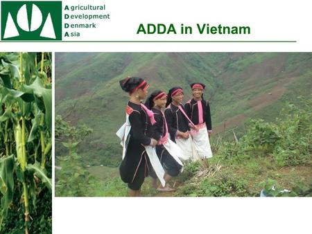 ADDA in Vietnam. ADDA Vietnam Projects The IPM Project (1998 - 2005). The Organic project (2004-2012) The Community Dev Project (2006 – 2014) The Legal.