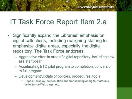 IT Task Force Report Item 2.a Significantly expand the Libraries’ emphasis on digital collections, including realigning staffing to emphasize digital areas,