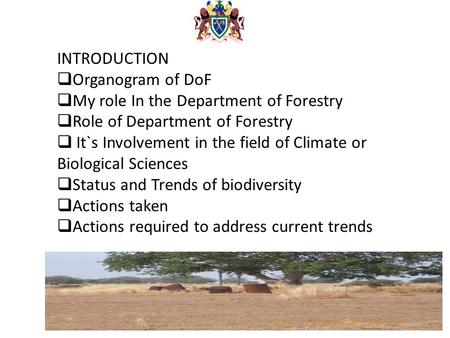 INTRODUCTION Organogram of DoF My role In the Department of Forestry