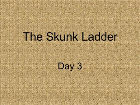 The Skunk Ladder Day 3. Concept Talk How can we find adventure in ordinary events?