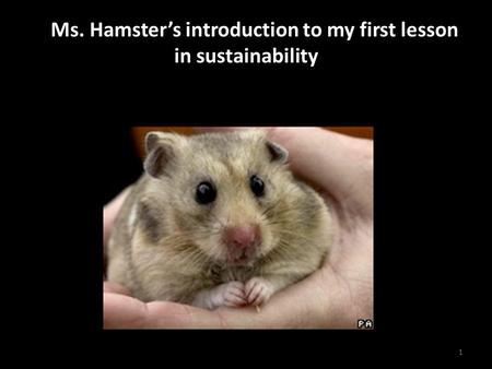 A Ms. Hamster’s introduction to my first lesson in sustainability 1.