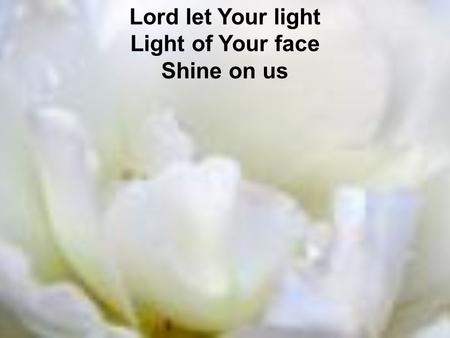 Lord let Your light Light of Your face Shine on us