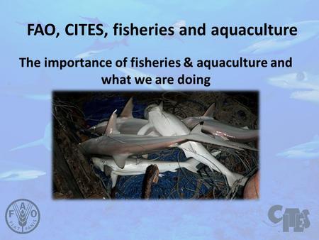 FAO, CITES, fisheries and aquaculture The importance of fisheries & aquaculture and what we are doing.
