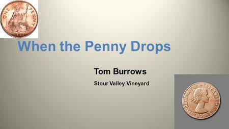 When the Penny Drops Tom Burrows Stour Valley Vineyard.