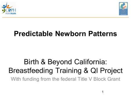 Predictable Newborn Patterns Birth & Beyond California: Breastfeeding Training & QI Project With funding from the federal Title V Block Grant 1.