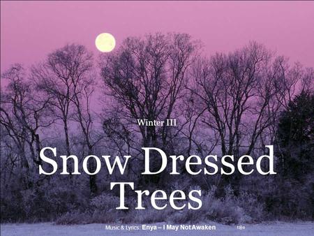 Music & Lyrics: Enya – I May Not Awaken Winter III Snow Dressed Trees.