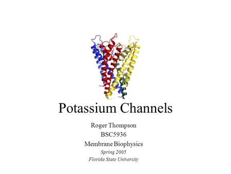 Potassium Channels Roger Thompson BSC5936 Membrane Biophysics Spring 2005 Florida State University.