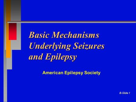 Basic Mechanisms Underlying Seizures and Epilepsy
