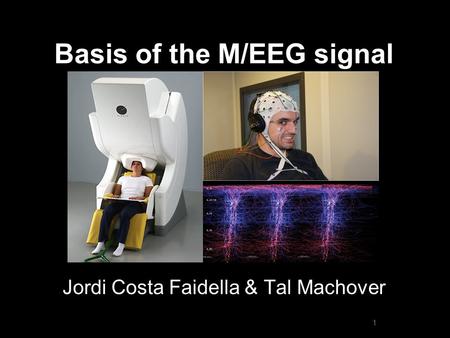 Basis of the M/EEG signal Jordi Costa Faidella & Tal Machover 1.