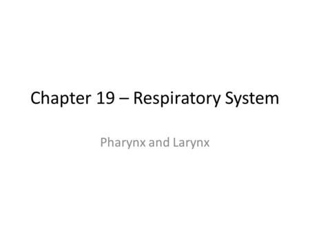Chapter 19 – Respiratory System Pharynx and Larynx.