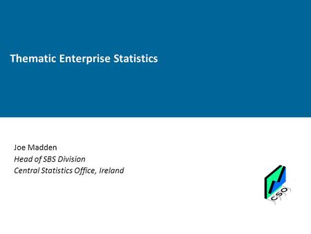 Thematic Enterprise Statistics Joe Madden Head of SBS Division Central Statistics Office, Ireland.