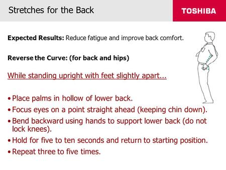 Stretches for the Back Expected Results: Reduce fatigue and improve back comfort. Reverse the Curve: (for back and hips) While standing upright with feet.