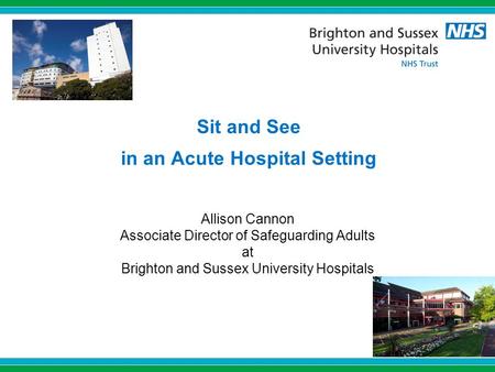 Sit and See in an Acute Hospital Setting Allison Cannon Associate Director of Safeguarding Adults at Brighton and Sussex University Hospitals.