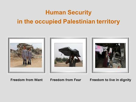Human Security in the occupied Palestinian territory Freedom from WantFreedom to live in dignityFreedom from Fear.