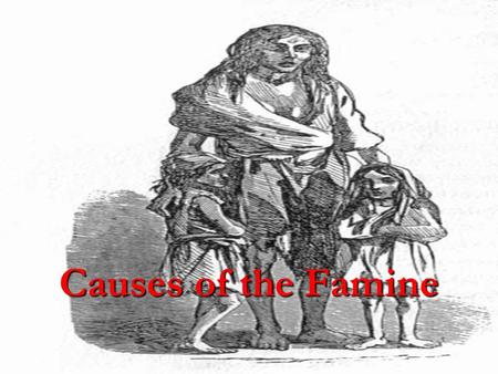 Causes of the Famine. Sub-division Family land-even if it was rented-was traditionally divided up equally among the sons on the death of the father. This.
