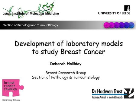 Development of laboratory models to study Breast Cancer Deborah Holliday Breast Research Group Section of Pathology & Tumour Biology Section of Pathology.