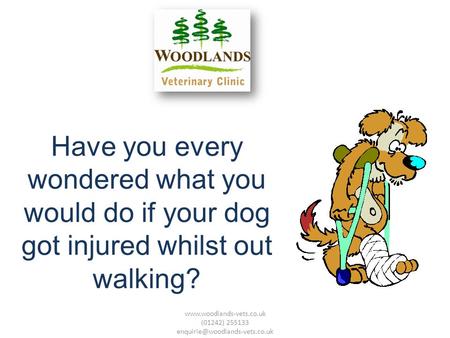 Have you every wondered what you would do if your dog got injured whilst out walking?  (01242) 255133