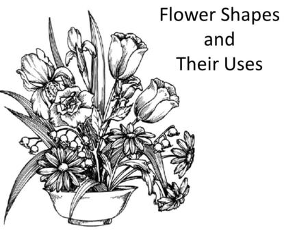 Flower Shapes and Their Uses. Line flowers are tall, and as the name implies, give your bouquet height, width, and a balanced look Most line flowers have.