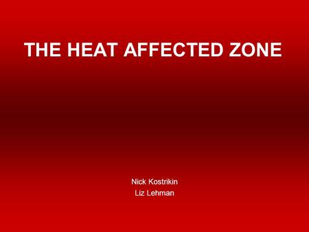 THE HEAT AFFECTED ZONE Nick Kostrikin Liz Lehman.
