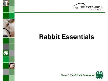 Rabbit Essentials Texas 4-H and Youth Development.