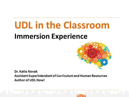 UDL in the Classroom Immersion Experience Dr. Katie Novak Assistant Superintendent of Curriculum and Human Resources Author of UDL Now!
