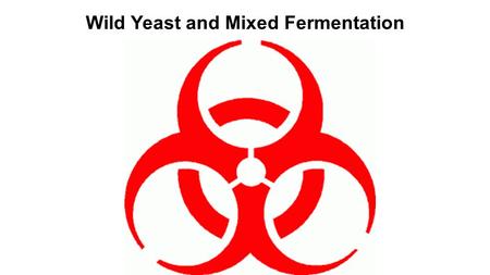 Wild Yeast and Mixed Fermentation. Who are the major players? Brettanomyces Lactobacillus Pediococcus.