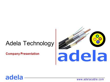 Adela Technology Company Presentation. Introduction Shenzhen Adela was established in 2008, major in fiber optical cable. After many years of development,