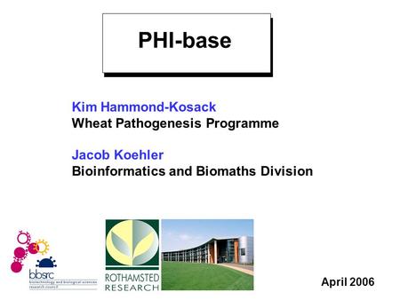 April 2006 Kim Hammond-Kosack Wheat Pathogenesis Programme Jacob Koehler Bioinformatics and Biomaths Division PHI-base.