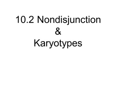 10.2 Nondisjunction & Karyotypes
