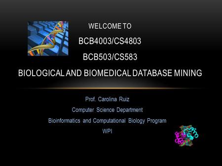 Prof. Carolina Ruiz Computer Science Department Bioinformatics and Computational Biology Program WPI WELCOME TO BCB4003/CS4803 BCB503/CS583 BIOLOGICAL.