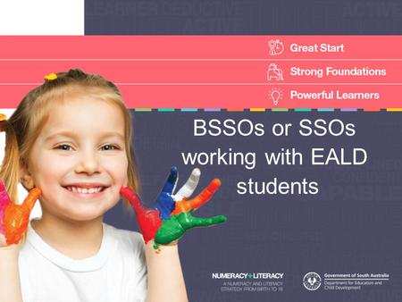 BSSOs or SSOs working with EALD students